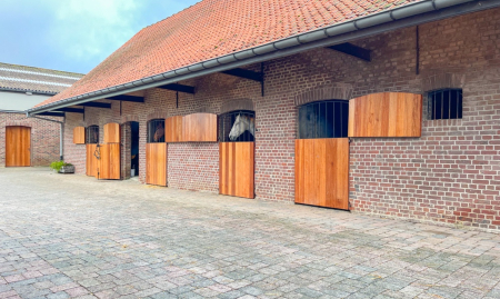 Te Koop - Heestert - Paardenfokkerij met landhuis voorzien van binnen- en buitenpiste op +-5,4 hectare  image