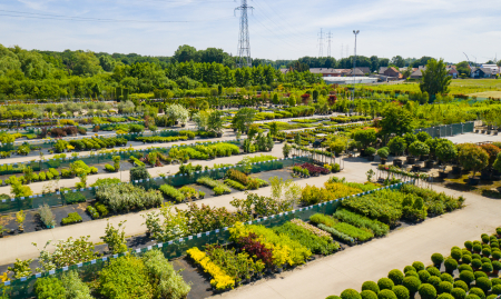 Groothandelaar in buitenplanten, gedeeltelijk uit eigen kwekerij image