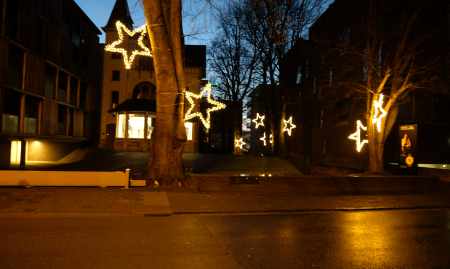 Overname bloeiend handelsfonds - Verkoop en Verhuur inclusief plaatsing van Kerstverlichting voor Industrie en Horeca - Waregem image