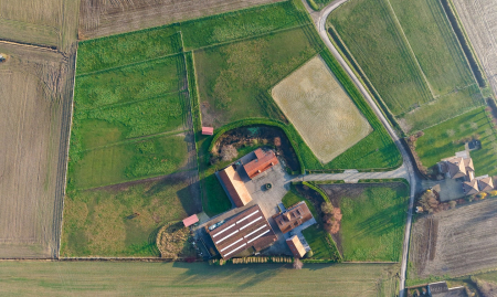 Te Koop - Heestert - Paardenfokkerij met landhuis voorzien van binnen- en buitenpiste op +-5,4 hectare  image