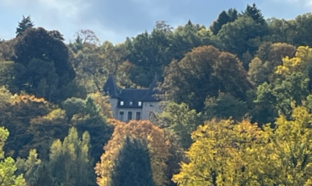 Gerenoveerd kasteel aan 1.000.000€ MINDER dan de schattingsprijs!!!!!!!!!nabij Dinant met zicht op de Maas. image