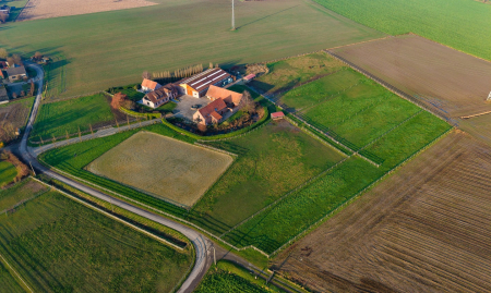 Te Koop - Heestert - Paardenfokkerij met landhuis voorzien van binnen- en buitenpiste op +-5,4 hectare  image