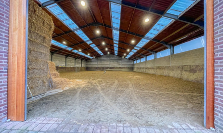 Te Koop - Heestert - Paardenfokkerij met landhuis voorzien van binnen- en buitenpiste op +-5,4 hectare  image