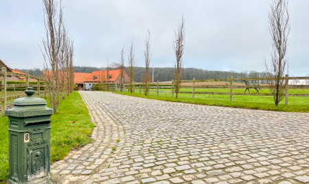 Te Koop - Heestert - Paardenfokkerij met landhuis voorzien van binnen- en buitenpiste op +-5,4 hectare  image