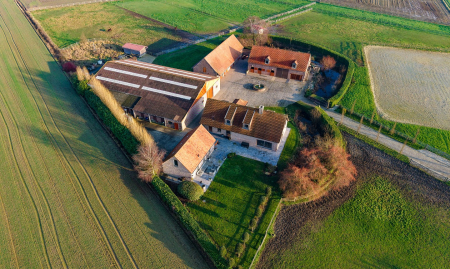 Te Koop - Heestert - Paardenfokkerij met landhuis voorzien van binnen- en buitenpiste op +-5,4 hectare  image