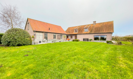 Te Koop - Heestert - Paardenfokkerij met landhuis voorzien van binnen- en buitenpiste op +-5,4 hectare  image