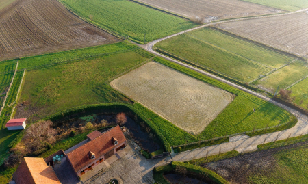 Te Koop - Heestert - Paardenfokkerij met landhuis voorzien van binnen- en buitenpiste op +-5,4 hectare  image