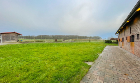 Te Koop - Heestert - Paardenfokkerij met landhuis voorzien van binnen- en buitenpiste op +-5,4 hectare  image