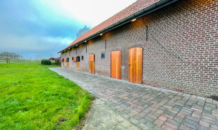 Te Koop - Heestert - Paardenfokkerij met landhuis voorzien van binnen- en buitenpiste op +-5,4 hectare  image