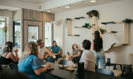 Unieke overnamekans: Mau Kattencafé in Genk image