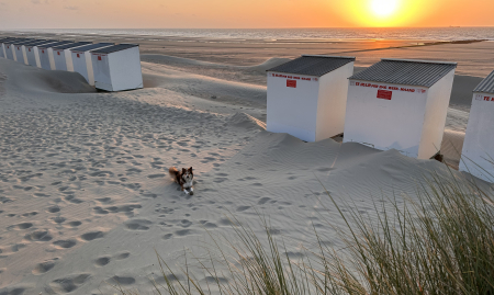 Ontbijt- en lunchzaak op topligging te Nieuwpoort  (OKT codenaam HORECA KUST)