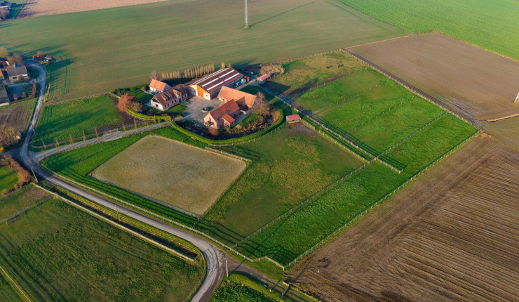 Te Koop - Heestert - Paardenfokkerij met landhuis voorzien van binnen- en buitenpiste op +-5,4 hectare  image