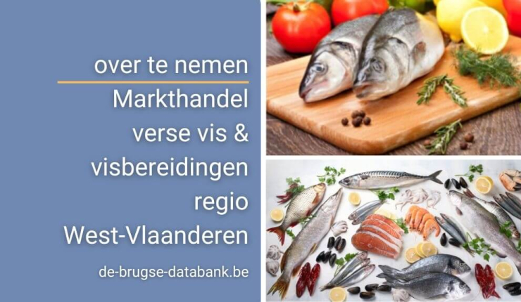 Regio West-Vlaanderen - Overname Markthandel verse vis & visbereidingen - Ref. 06/10809 image