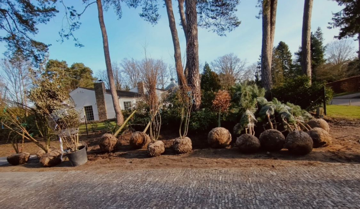 OVER TE NEMEN Gevestigde Zaak in Tuinaanleg over te nemen Antwerpse Noorderkempen  image