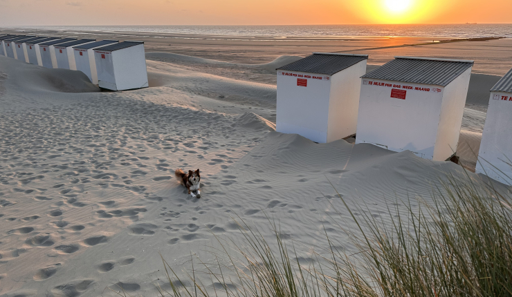 Ontbijt- en lunchzaak op topligging te Nieuwpoort  (OKT codenaam HORECA KUST)